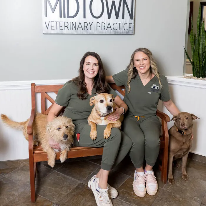 Midtown Veterinary Practice Picture 4