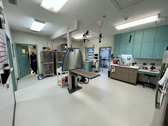 Midtown Veterinary Practice Picture 10