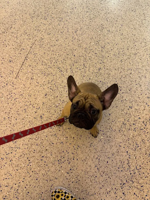Banfield Pet Hospital Picture 4