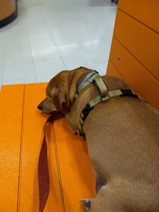 Banfield Pet Hospital Picture 6