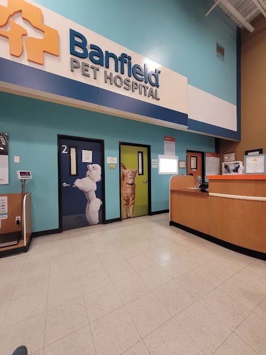 Banfield Pet Hospital Picture 8