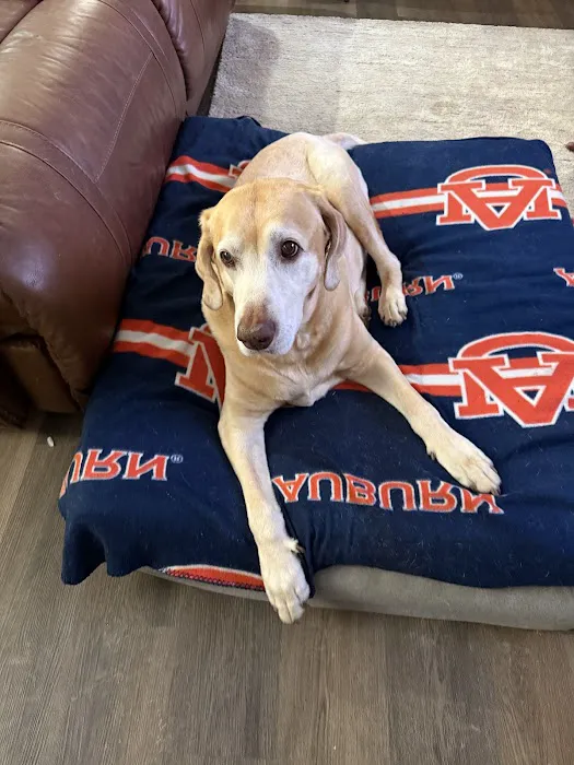 Cornerstone Animal Hospital Picture 6
