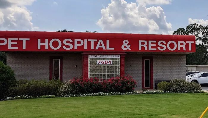 Apollo Animal Hospital PC Picture 2