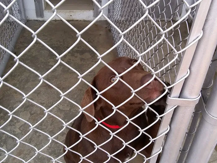 Apollo Animal Hospital PC Picture 3