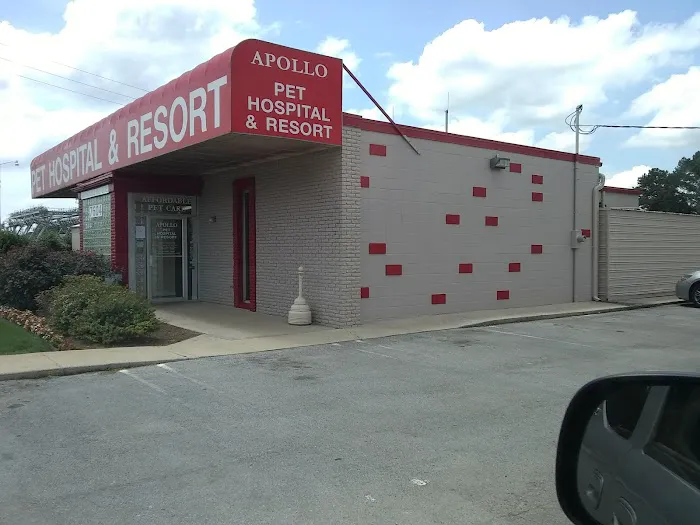 Apollo Animal Hospital PC Picture 7