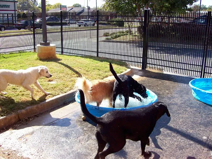 Valley Animal Hospital & Pet Resort Picture 4