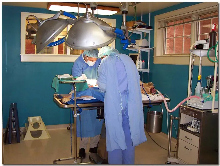 Valley Animal Hospital & Pet Resort Picture 9