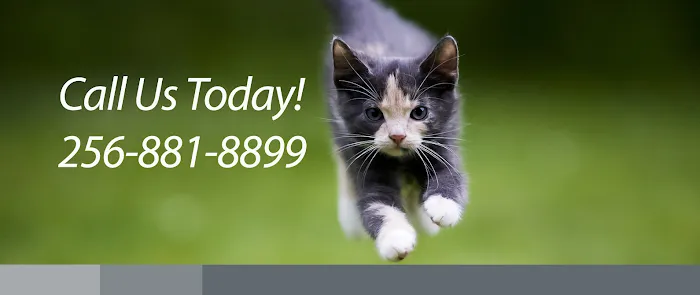 Valley Animal Hospital & Pet Resort Picture 10