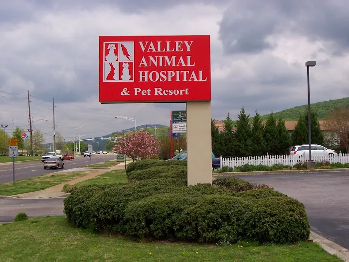 Valley Animal Hospital & Pet Resort Picture 8