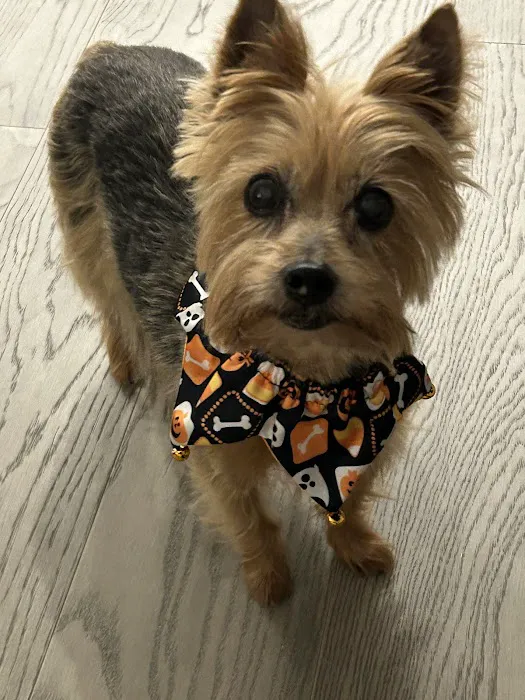 Valley Animal Hospital & Pet Resort Picture 7