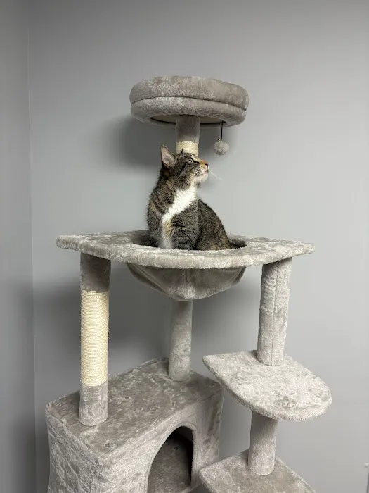 Valley Animal Hospital & Pet Resort Picture 6