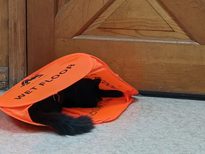 Aero City Animal Hospital Picture 2