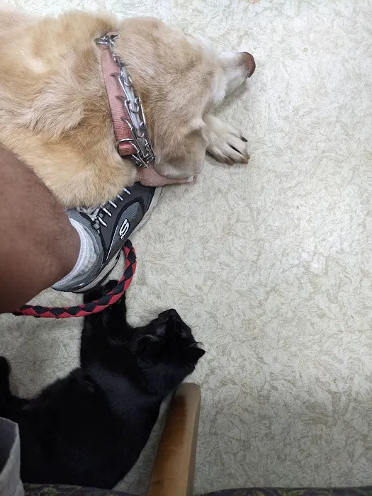 Aero City Animal Hospital Picture 1