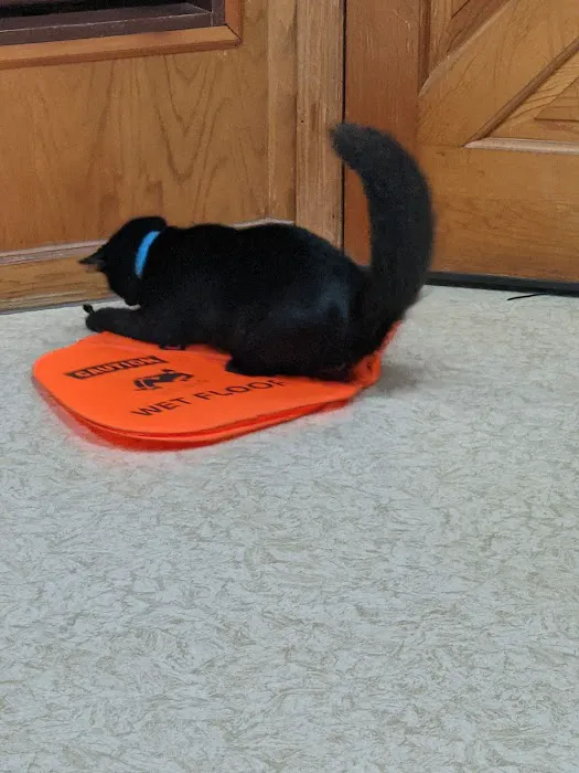 Aero City Animal Hospital Picture 4