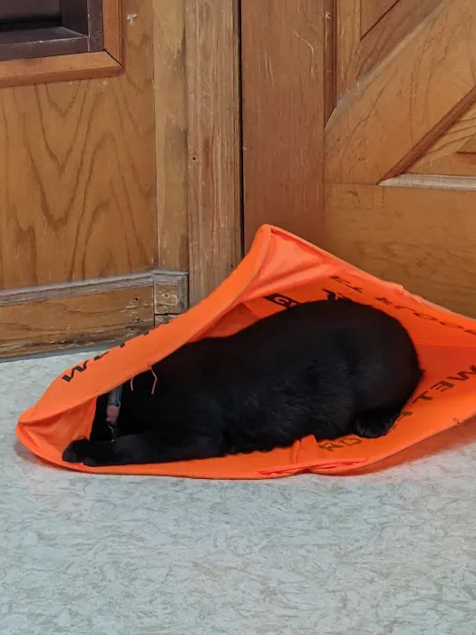 Aero City Animal Hospital Picture 6