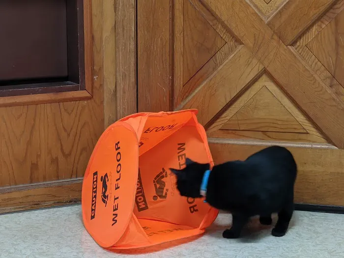 Aero City Animal Hospital Picture 10