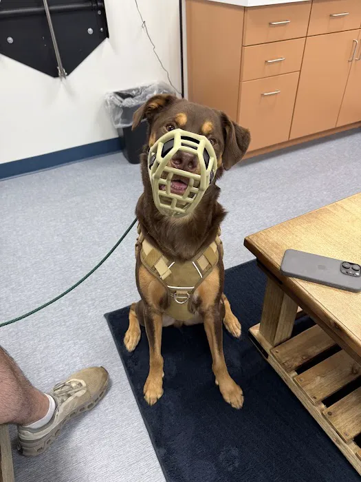 Southpaw Animal Clinic of Madison Picture 2