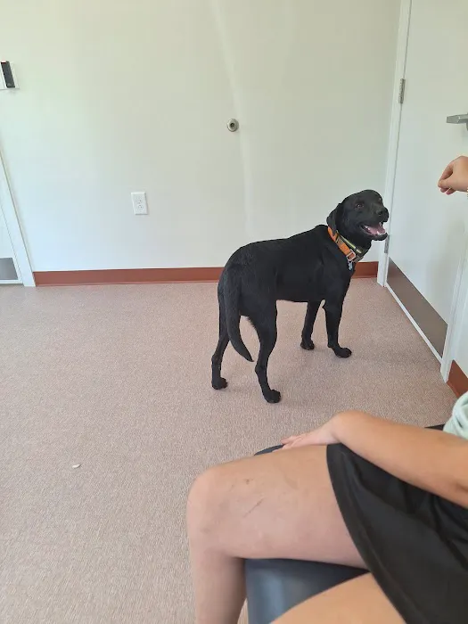 Southpaw Animal Clinic of Madison Picture 4
