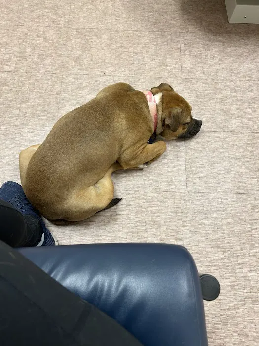 Southpaw Animal Clinic of Madison Picture 8