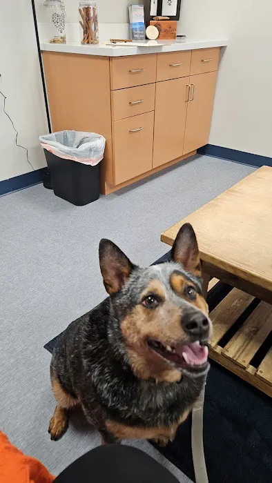Southpaw Animal Clinic of Madison Picture 10