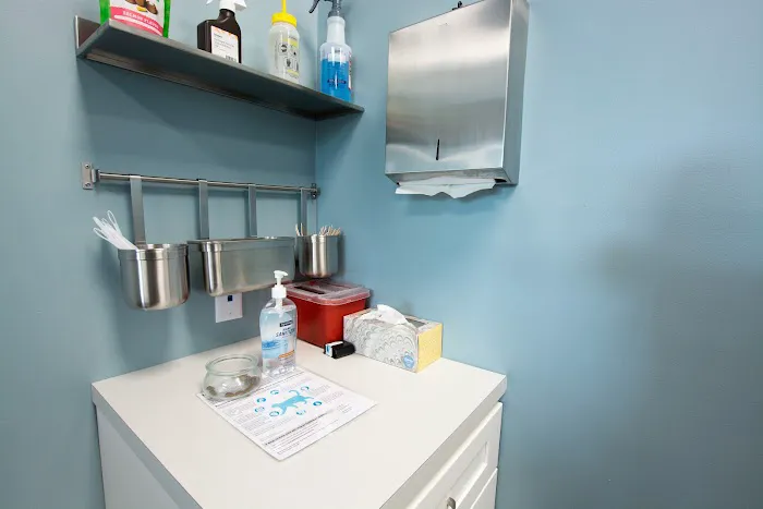 easyvet Veterinarian Madison Picture 4