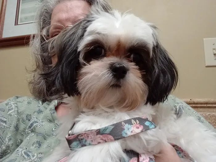 Northside Animal Hospital Picture 7