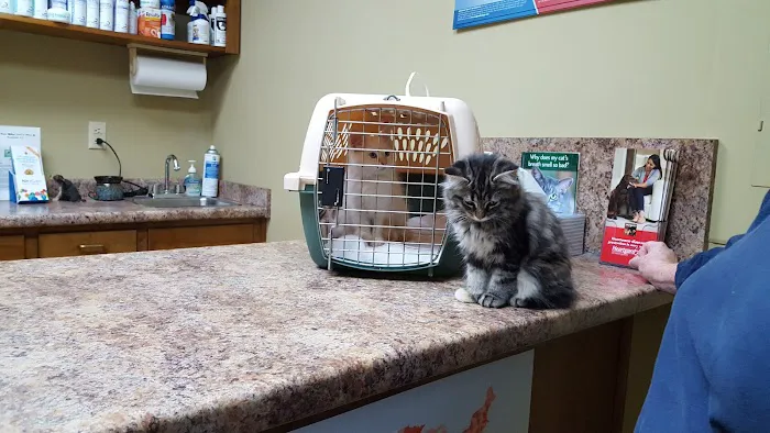 Northside Animal Hospital Picture 8