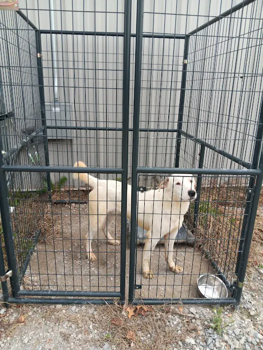 City of Lawrenceburg Animal Control Picture 8
