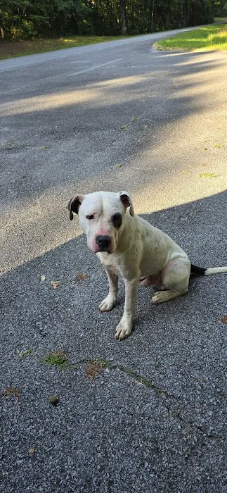 City of Lawrenceburg Animal Control Picture 10