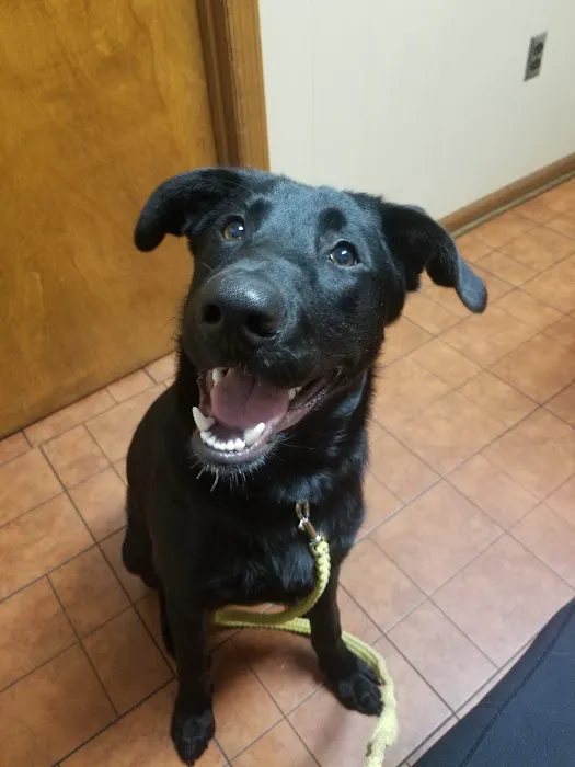 Shoal Creek Animal Hospital Picture 4