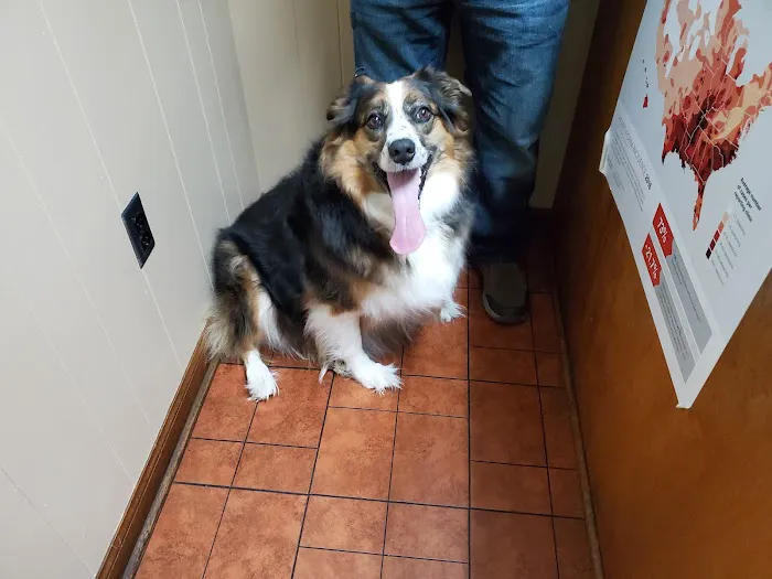 Shoal Creek Animal Hospital Picture 6
