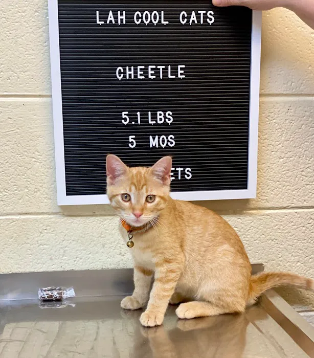 Lawrenceburg Animal Hospital Picture 1