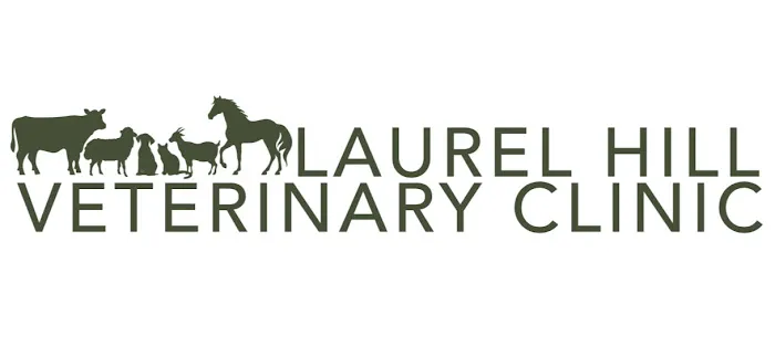 Laurel Hill Veterinary Clinic Picture 6