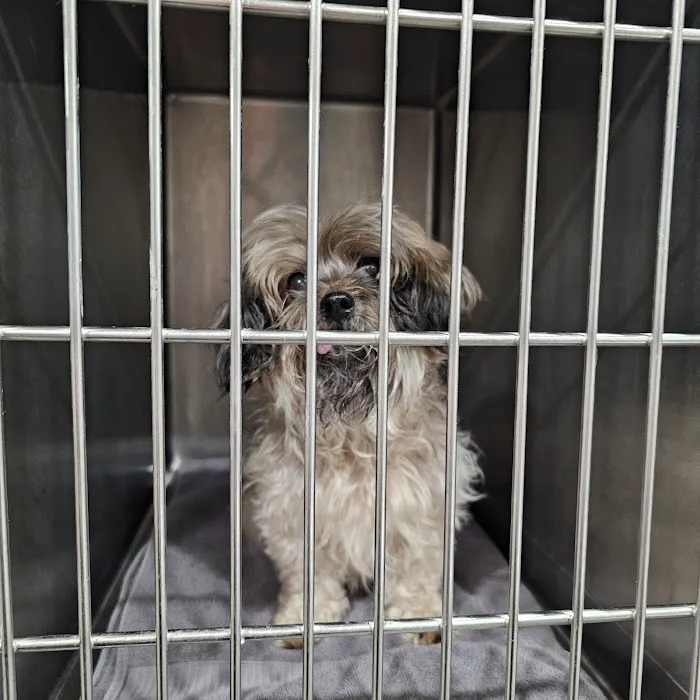 Laurel Hill Veterinary Clinic Picture 4