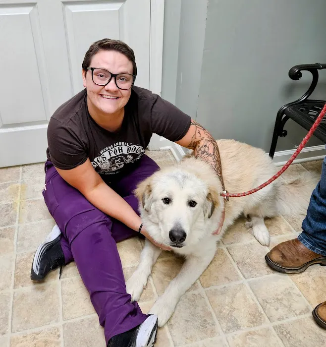 DeKalb Animal Clinic Picture 6