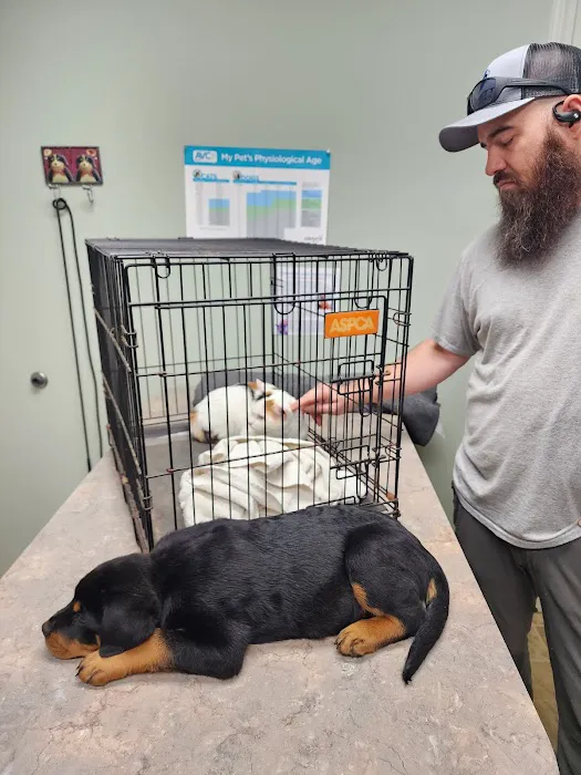 DeKalb Animal Clinic Picture 8