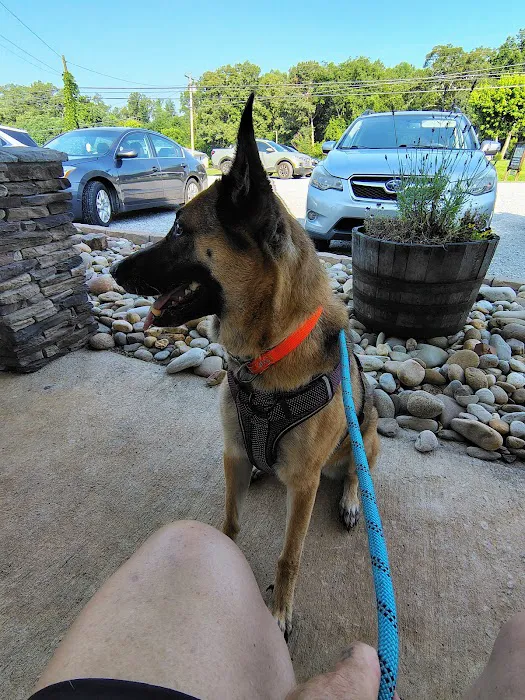 Bluegrass Veterinary Clinic, LLC Picture 5