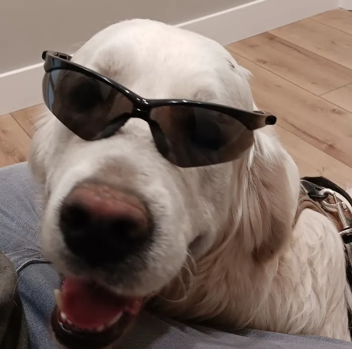 Bluegrass Veterinary Clinic, LLC Picture 10