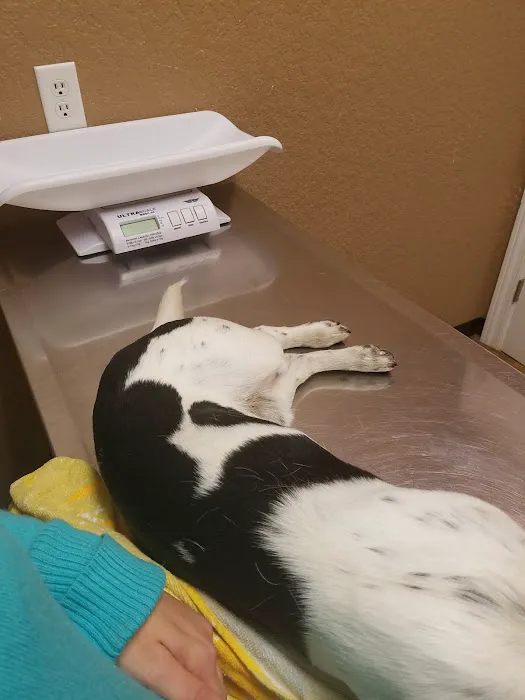 Sparta Veterinary Services LLC Picture 7