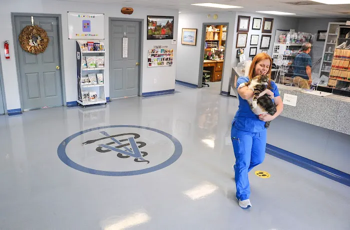 Mc Clanahan Micki DVM Picture 5