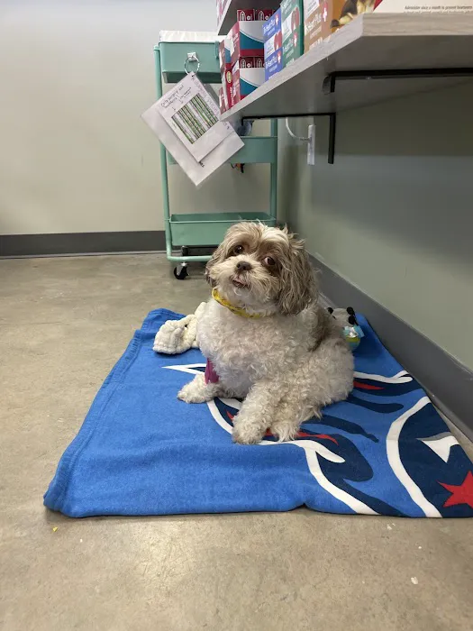 Lookout Valley Veterinary Clinic Picture 5