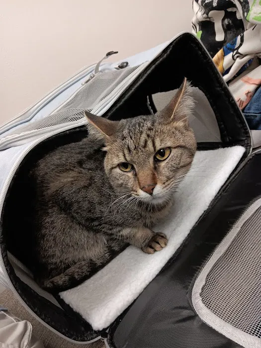 Signal Mountain Veterinary Clinic Picture 3