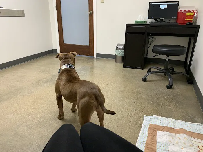 Southside Veterinary Clinic Picture 4