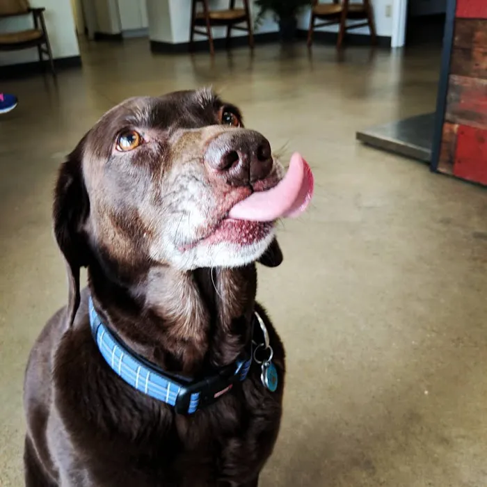Southside Veterinary Clinic Picture 9