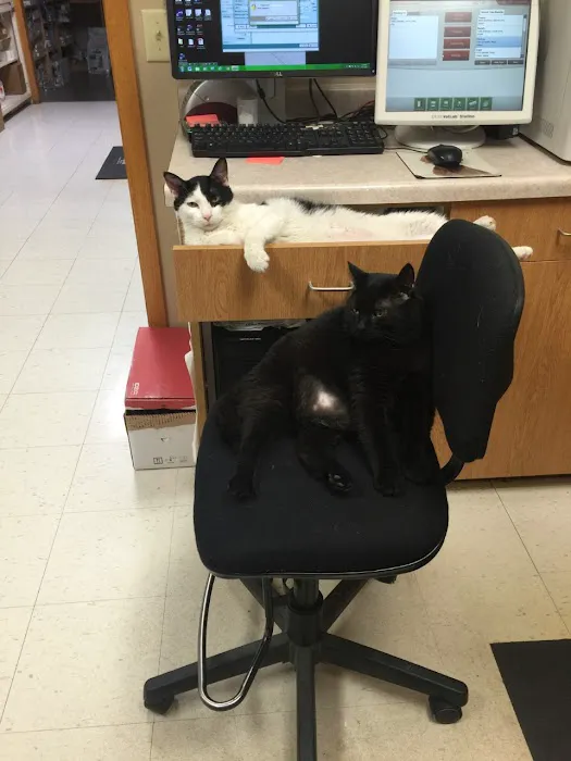 Austin Veterinary Clinic Picture 8