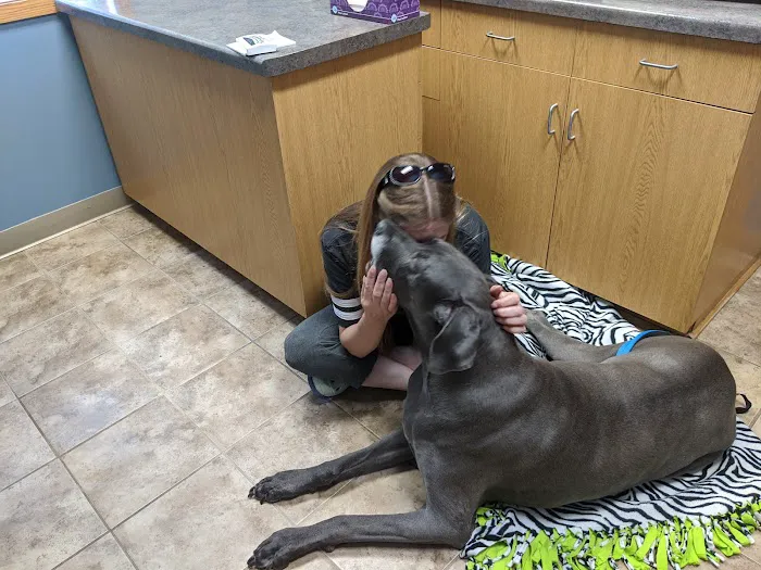 Austin Veterinary Clinic Picture 5