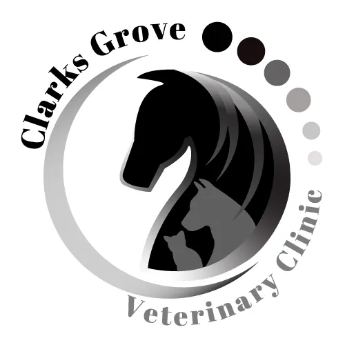 Clarks Grove Vet Clinic Picture 6