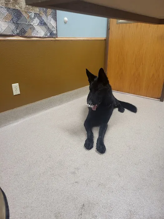 Northland Veterinary Services Picture 2
