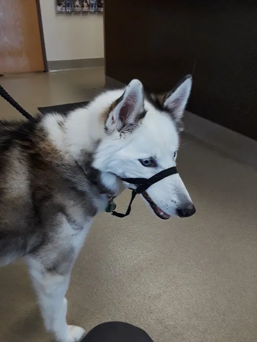 Northland Veterinary Services Picture 10
