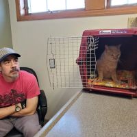 Whitehall Veterinary Services Inc ico